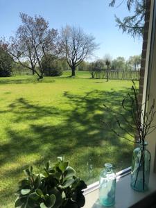 Zahrada ubytování B&B Borgersteeg