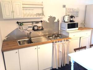 斯特龍博利的住宿－斯特龍博利海鷗公寓，厨房配有水槽和微波炉