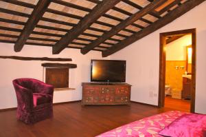 TV a/nebo společenská místnost v ubytování Agriturismo Ronchi Di Sant'Egidio