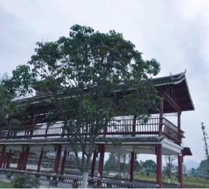 un bâtiment avec un arbre en face dans l'établissement 7Days Inn Rongjiang Binjiang Avenue Branch, à Yung-chiang