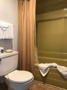 a bathroom with a toilet and a shower at Big Sky Lodge in Rapid City