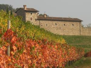 Fotografie z fotogalerie ubytování Agriturismo Ronchi Di Sant'Egidio v destinaci Manzano