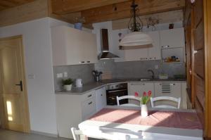 Kuchyňa alebo kuchynka v ubytovaní Apartmány u vlčích jam