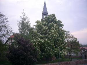Fotografie z fotogalerie ubytování Ferienhaus Krähmer v destinaci Kelbra