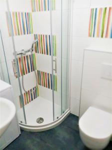 a bathroom with a shower and a toilet at Sonce in Izola +5 photos
