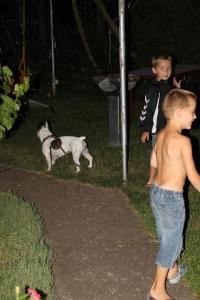 Domácí mazlíčci ubytovaní s hosty v ubytování Ferienhaus Krähmer