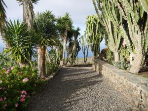 a path lined with palm trees and flowers at APARTAMENTO LOS CACTUS in Echedo