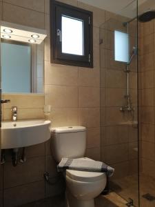 bagno con servizi igienici, lavandino e specchio di TA DIDYMAKIA APARTMENTS. ad Argostoli