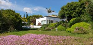 a house in a garden with bushes and flowers at Villa Amadeus Xabia in Balcon del Mar