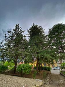 un gruppo di alberi di fronte a un edificio di La Casa Della Nonna a Montemiletto