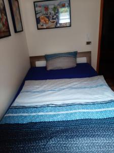 トリベルクにあるHaus Krismannの青い毛布が付いた部屋のベッド1台分です。