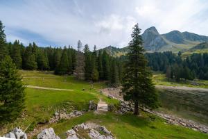 Foto dalla galleria di Hotel & Restaurant Sonne a Schwarzenburg