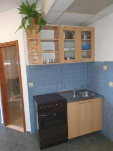 Kuchyň nebo kuchyňský kout v ubytování Villa Brasina