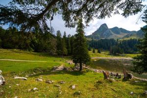 a grassy field with a river and a mountain at Hotel Sonne - Self Check-in in Schwarzenburg