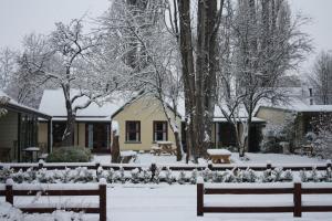 Shades of Arrowtown v zimě