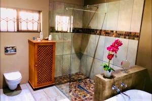 a bathroom with a shower with a toilet and a sink at Rooibos Retreat in Richards Bay +19 photos