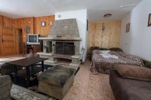a living room with a fireplace and a bed and a couch at Elitza Villa in Pamporovo