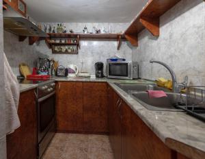 uma pequena cozinha com um lavatório e um micro-ondas em Elitza Villa em Pamporovo