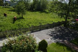 Zahrada ubytování Landhaus Dreesen