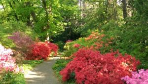 Fotografie z fotogalerie ubytování Congress Hotel am Stadtpark v destinaci Hannover