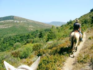 Ιππασία σε αυτό το ξενοδοχείο διαμερισμάτων ή εκεί κοντά