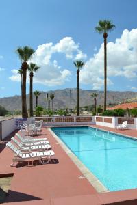 a swimming pool with lounge chairs and palm trees at El Rancho Dolores at JT National Park in Twentynine Palms