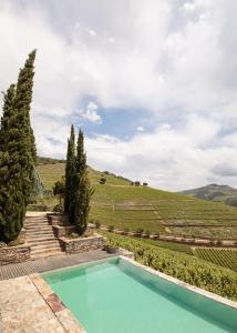 uma piscina no meio de uma vinha com árvores em Quinta Nova Winery House - Relais & Châteaux no Pinhão