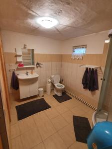 Kylpyhuone majoituspaikassa Chalupa Vesec