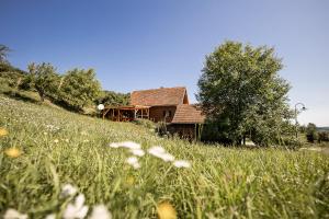 Příroda nedaleko apartmánu