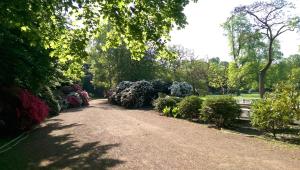 a large group of trees on the side of a road at Congress Hotel am Stadtpark in Hannover