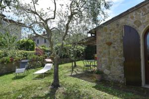 een tuin met een boom en stoelen en een gebouw bij CASE&COLLINE Villetta Anita in Montescudaio