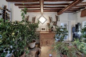 um quarto com muitas plantas em vasos e uma mesa em B&B Eridu em Fiesole