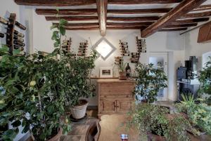 a room with lots of potted plants and a table at B&B Eridu in Fiesole