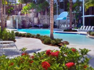 a beach with palm trees and palm trees at Hyatt Regency Sarasota in Sarasota