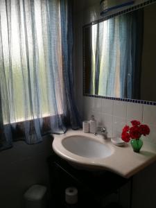 a bathroom with a sink and a mirror and red flowers at Casa Pianta in Cavallino-Treporti