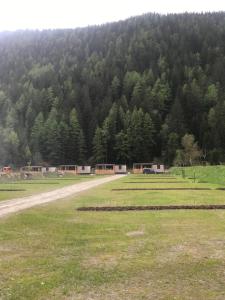 a field with a dirt road in front of a mountain at Camping HOCHoben in Mallnitz