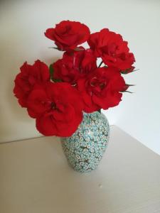 a blue vase with red flowers in it at Casa Pianta in Cavallino-Treporti
