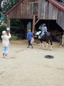 a woman taking a picture of a person riding a horse at A-Sissy-Hof in Bischofstetten