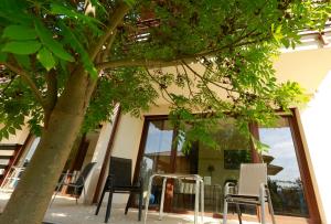 un groupe de chaises et un arbre devant un bâtiment dans l'établissement Fürjes Villa Apartmanház, à Balatonfüred