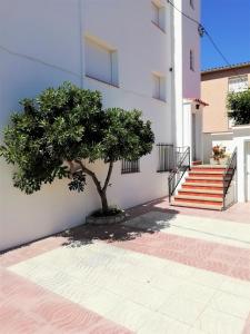 Galeriebild der Unterkunft Trill Noray apartamentos in L'Estartit + 17 Fotos