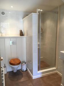 uma casa de banho com um WC e uma cabina de duche em vidro. em B&B HemeltjeLief em Hemelum