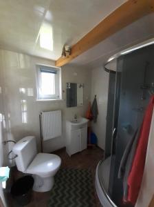 a bathroom with a toilet and a sink and a shower at Siedlisko Bieszczadzkie 1 in Lutowiska
