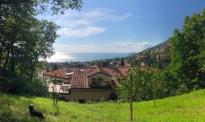 a house on the side of a hill with a view at ESPERIA casa vacanza in Trieste