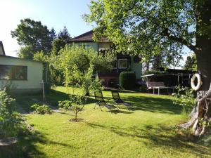 un cortile con un albero e sedie di fronte a una casa di Ferien am Hegensteinbach a Fürstenberg/Havel