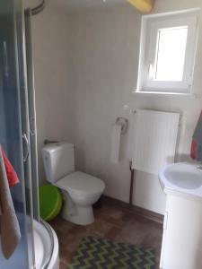 a bathroom with a toilet and a sink and a window at Siedlisko Bieszczadzkie 2 in Lutowiska