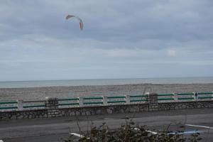 a bird flying over a beach with the ocean at Ces jours en baie Le vue mer in Cayeux-sur-Mer