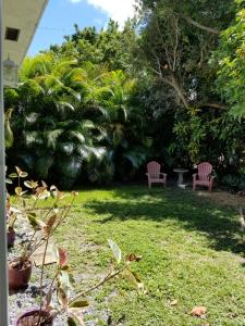 een tuin met twee stoelen en een boom bij LUXURY Guayabita's House in Miami