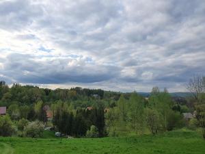a green field with trees and a cloudy sky at Apartament Columbus in Ustrzyki Dolne