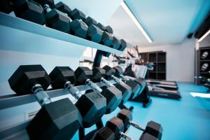 Fitness centrum a/nebo fitness zařízení v ubytování Hotel Spitzerberg by b-smart