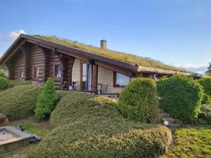 a log cabin with a grass roof at U Srubu Sychrov in Sychrov